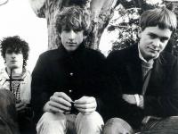 The Clean To Be Inducted Into The New Zealand Music Hall Of Fame