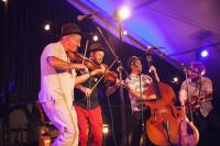 The Irrepressible T Bone Announce Wellington Show