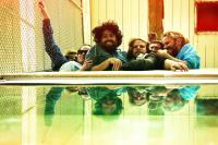 The Phoenix Foundation &ndash; &lsquo;fandango&rsquo; July Release Tour