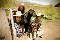 The Woolshed Tour Presents: Life&rsquo;s A Bitch And Mel Parsons