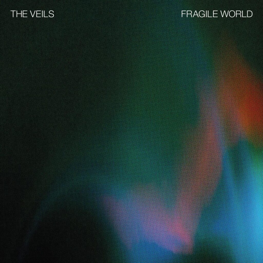 Theveilscover