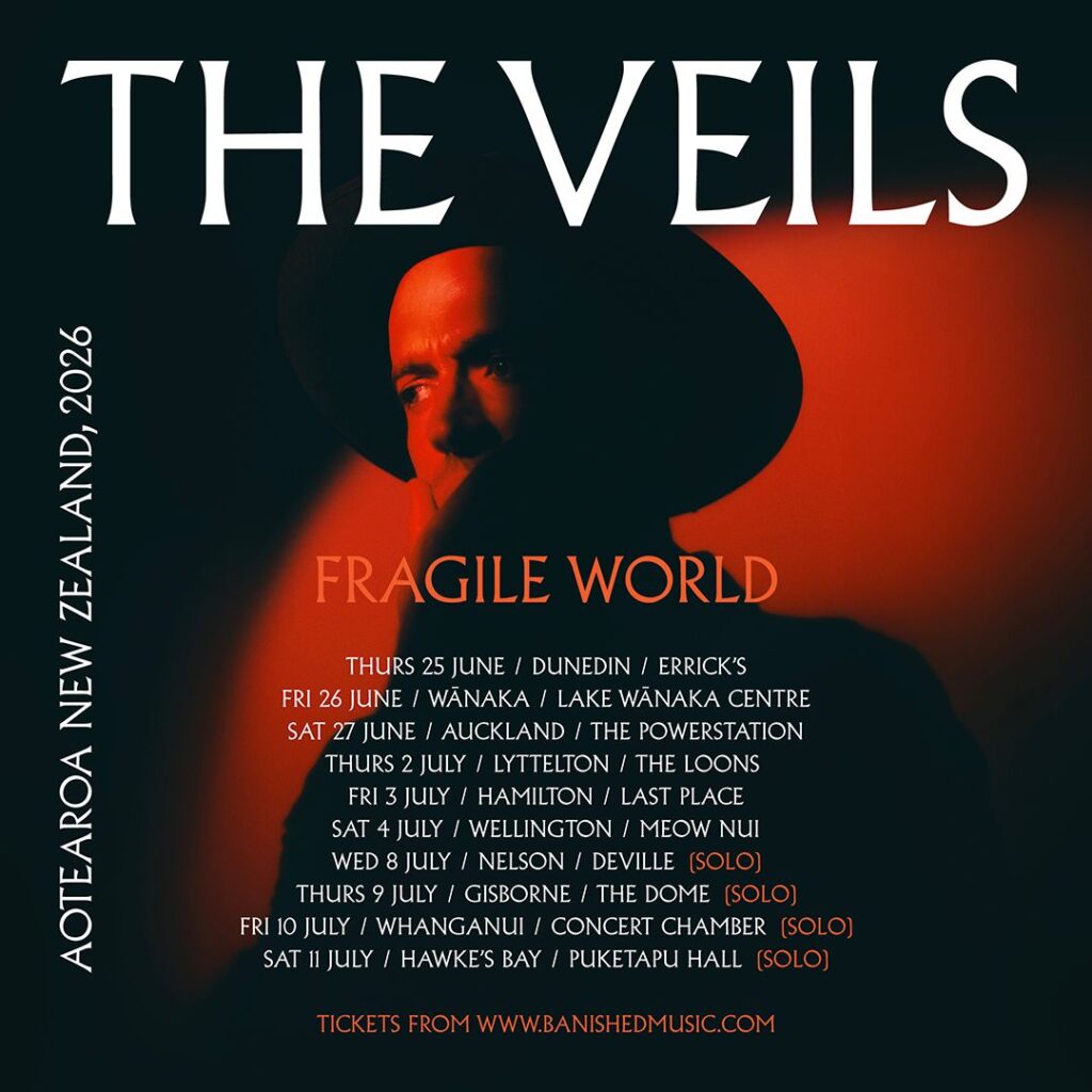 Theveilsposter