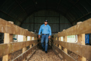 Thewesternguidephoto