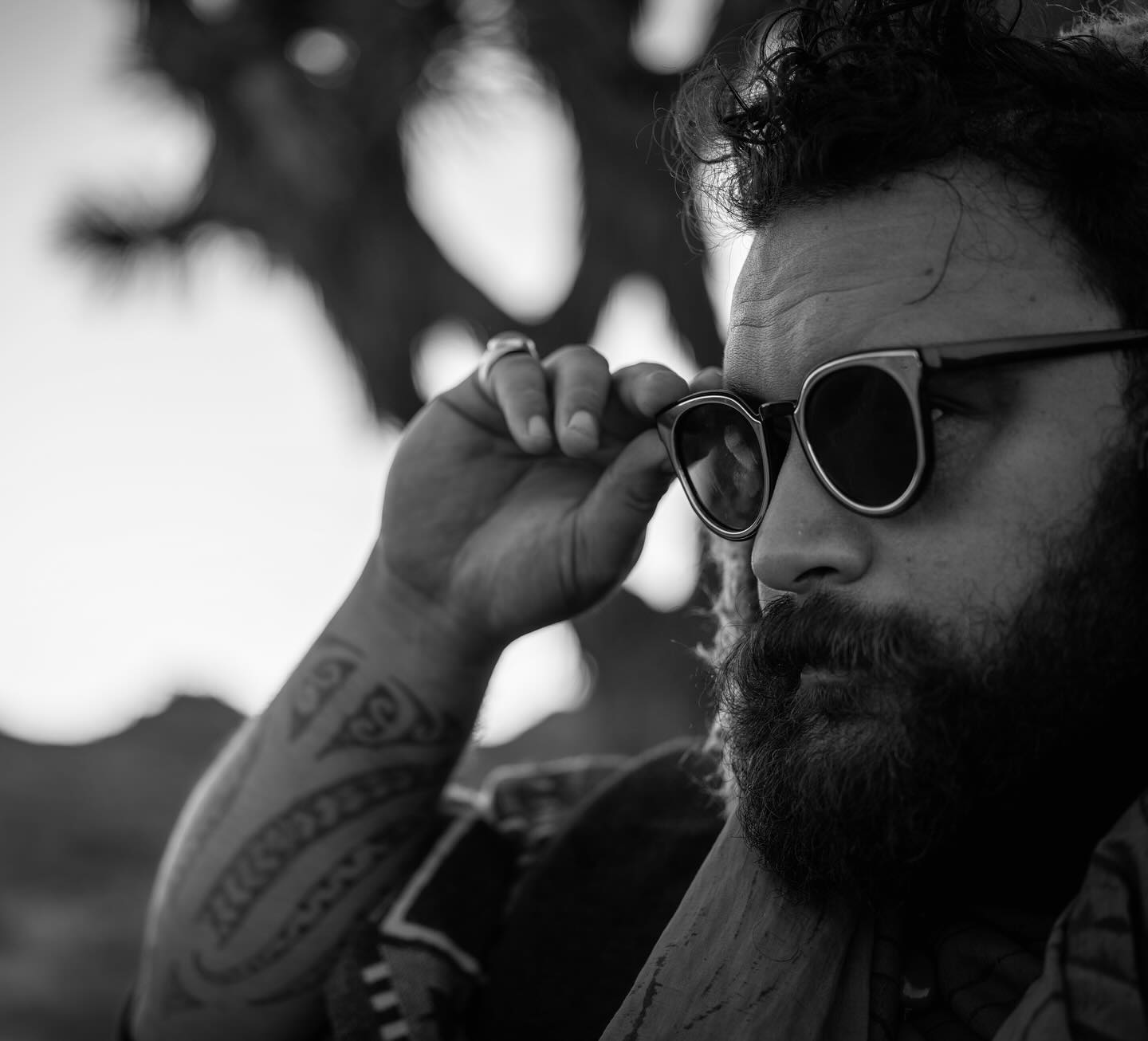 Troykingiphoto
