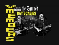 Uk Post Punk Reggae Legends The Members To Tour Nz