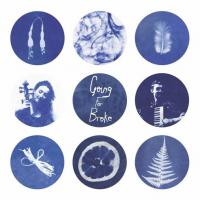 Unexpected Aotearoa Adventure Births Alt Folk Album 'going For Broke' On 18th September