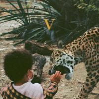 Unknown Mortal Orchestra Announces New Double Album 'v' + Single/video 'layla; Out Now