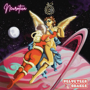Velveteenshakescover