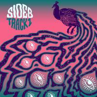 Wellington Alt Blues Rockers Sea Mouse Deliver Stonking New Single 'side B Track 1'