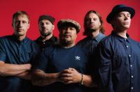 Whangamatā Beach Break Has Been Postponed