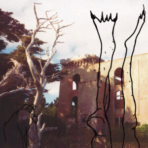 Whsiperdishcover