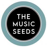 Win The Music Seeds Mindset & Well Being Coaching