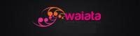 Winners Announced For The 2018 Waiata Maori Music Awards: Rob Ruha Dominates The Night With Four Awards