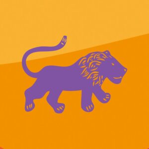 Womad Aotearoa Unveils 13 Captivating New Acts