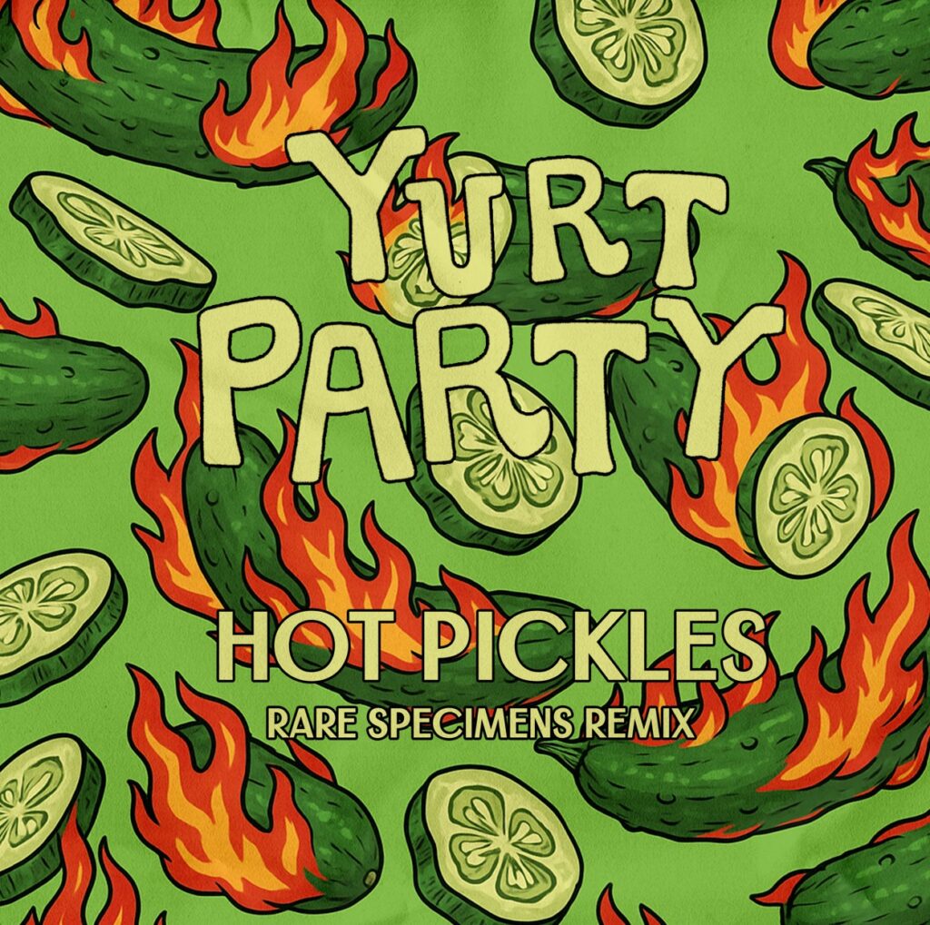 Yurtpartycoversml