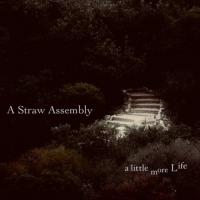 A Straw Assembly A Little More Life