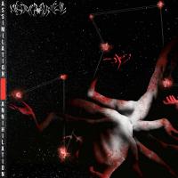 Abstract Survival Assimilation // Annihilation