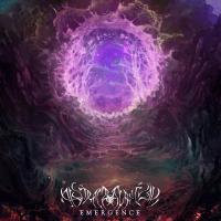 Abstract Survival Emergence