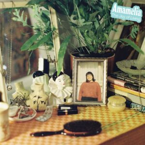 Amameliacover