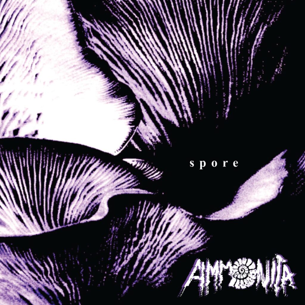 Ammonitacover