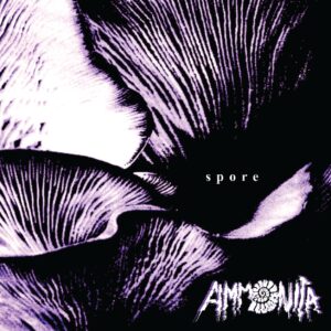 Ammonitacover