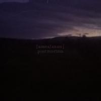 Amos/anon Postmortem