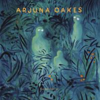 Arjuna Oakes The Watcher