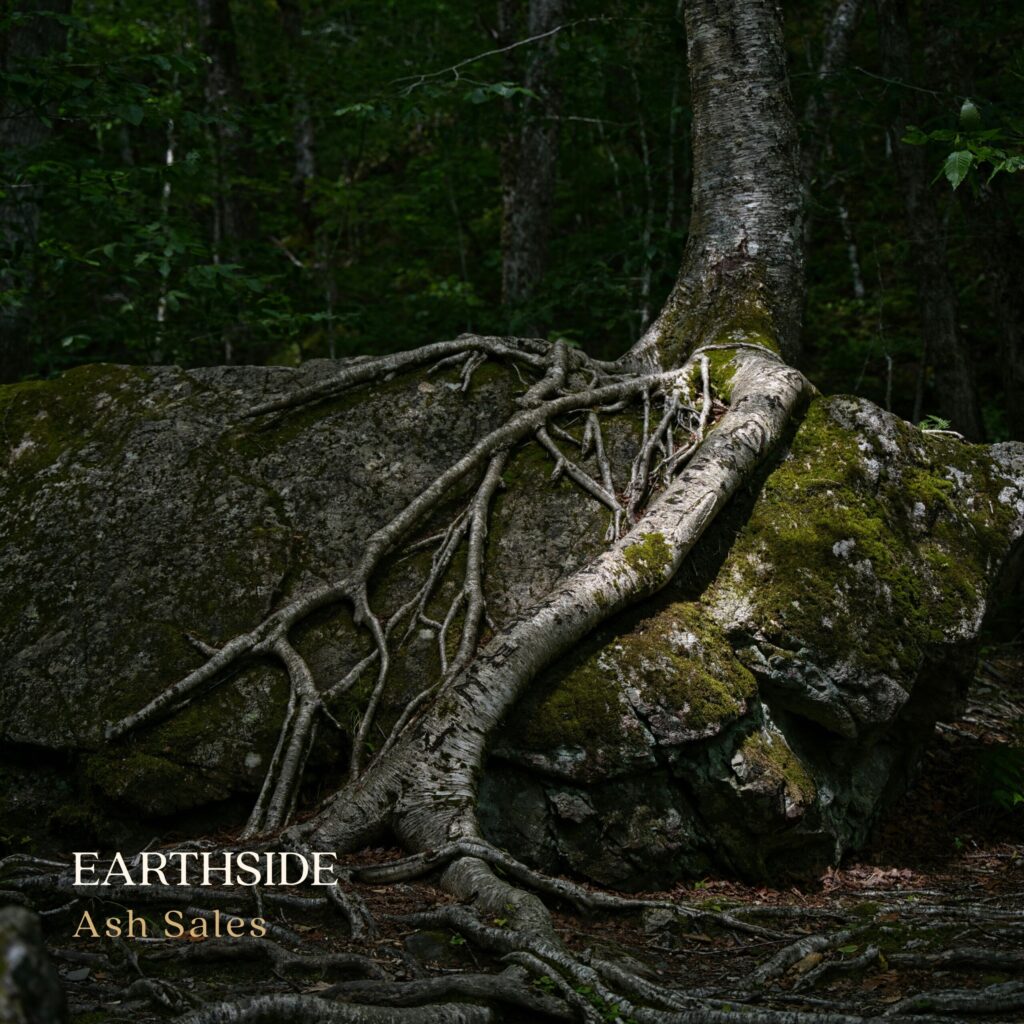 Ashsalescover