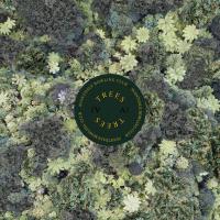 Avantdale Bowling Club Trees