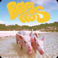 Beach Pigs Beach Pigs