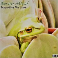 Bevan Mical Exhausting The Muse