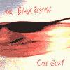Bilge Festival Cape Goat