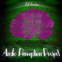 Bill Rootes The Audio Perception Project