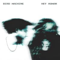 Bird Machine Hey Human