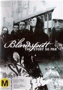Blindspott Story So Far