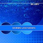Bluey Ocean Unknown