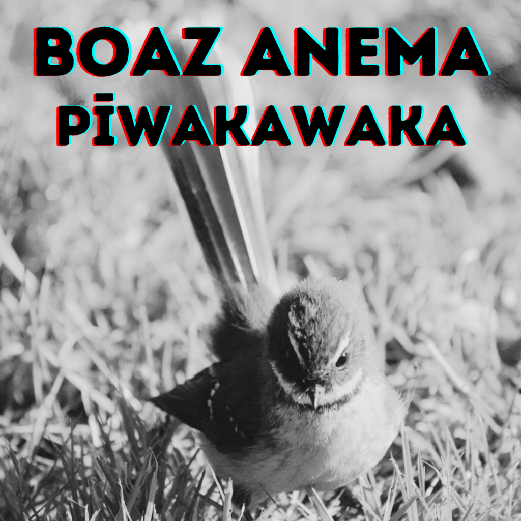 Boazcover