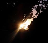 Bornkiwi Day Dawning