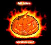 Built To Burn What Did You Expect?