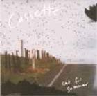 Cassette Cut For Summer