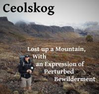 Ceolskog Lost Up A Mountain, With An Expression Of Perturbed Bewilderment