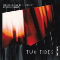 Chris Mason Battley Group Two Tides