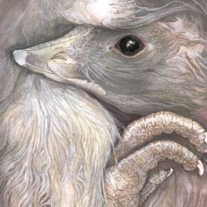 Conallryancover