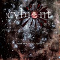 Cybiont Dark Side Of My Spoon