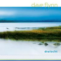 Dave Flynn Draiocht
