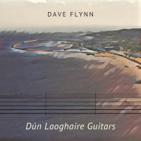 Dave Flynn Dun Laoghaire Guitars