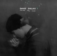 David Dallas Falling Into Place