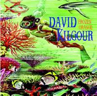 David Kilgour Frozen Orange