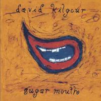 David Kilgour Sugar Mouth Re Issue