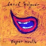 David Kilgour Sugar Mouth